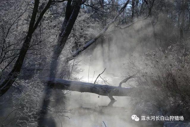 最好的旅程